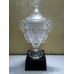 Winning Glass Award Cup